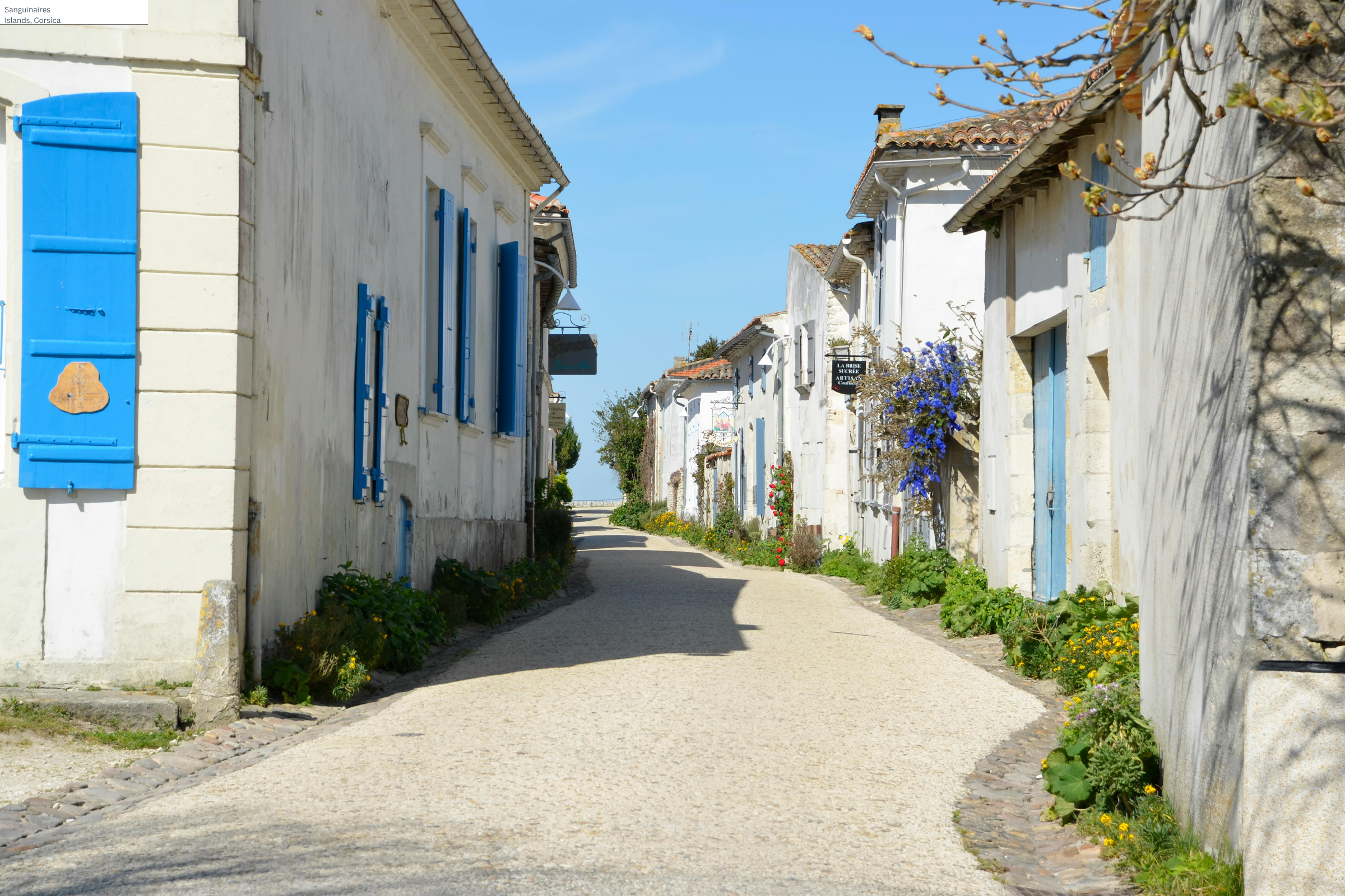talmont-sur-gironde (4).webp